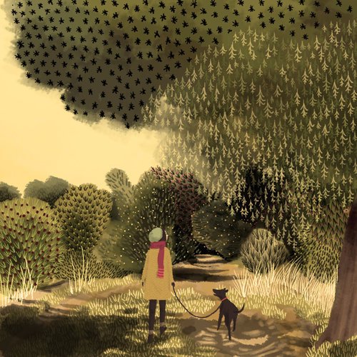 英格兰,画师,Jane,Newland,童话,森林,作品 . 英格兰插画师 Jane Newland 童话森林作品