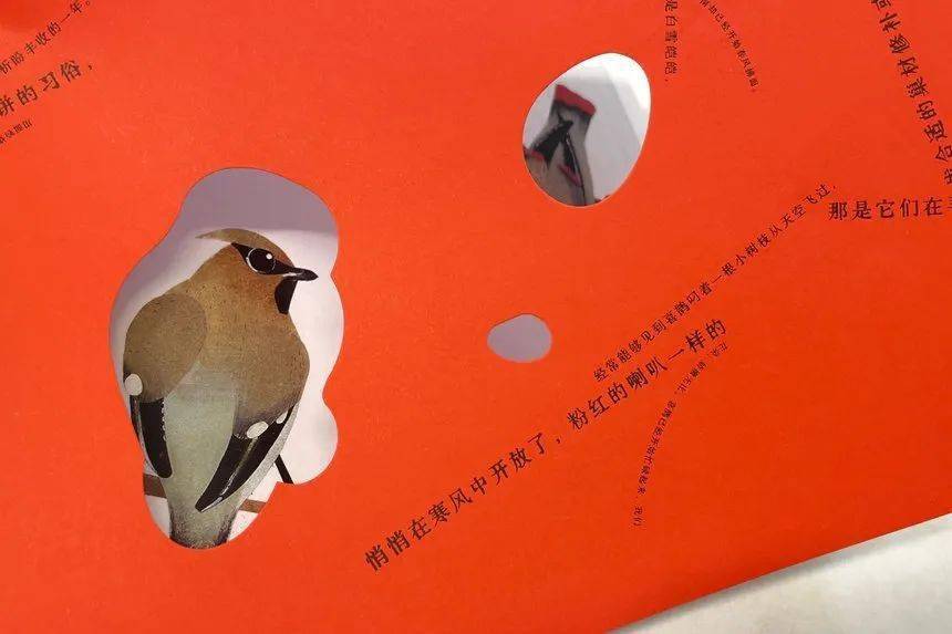 D&AD,创意,铅笔 . D&AD奖 2022获奖公布 中国区创意人共获18支铅笔